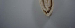 Stocco impianti MAXI_26